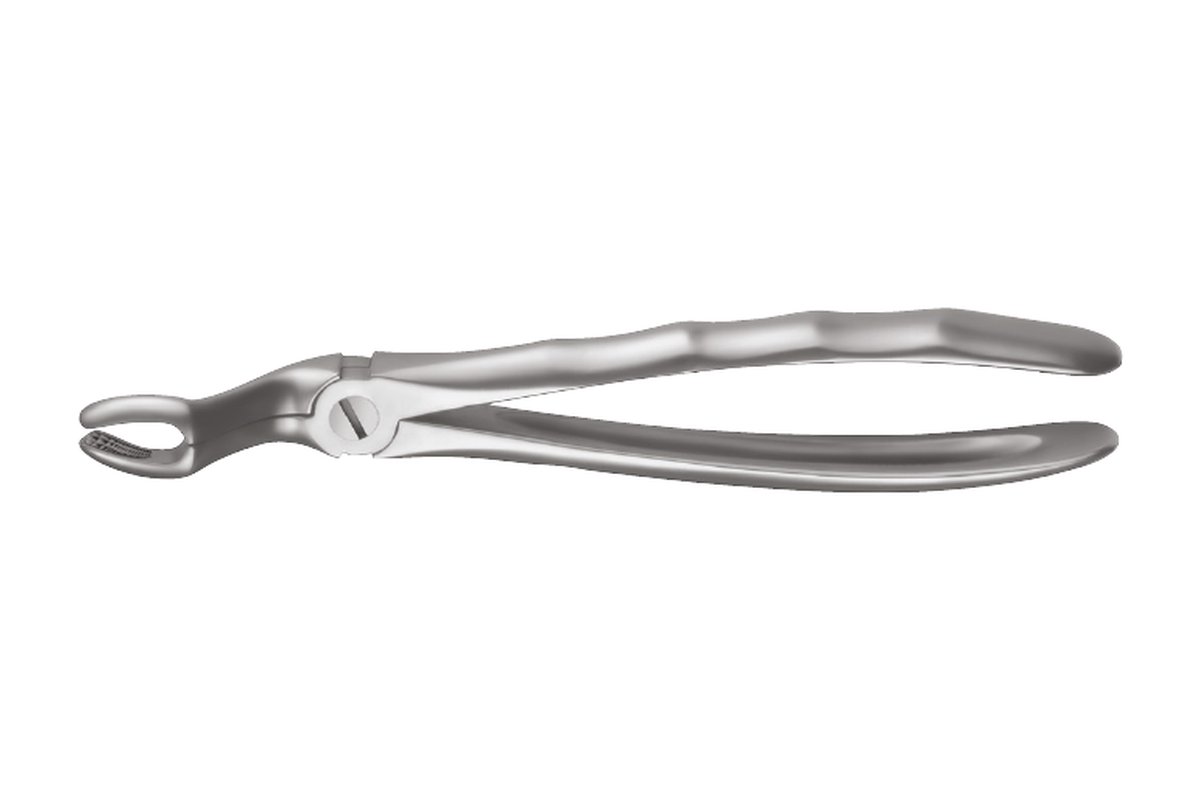 Carl Martin Üst 20 Yaş Davyesi LS67A